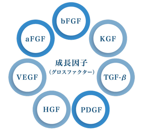 エクソソーム（浄化濃縮幹細胞上清液）